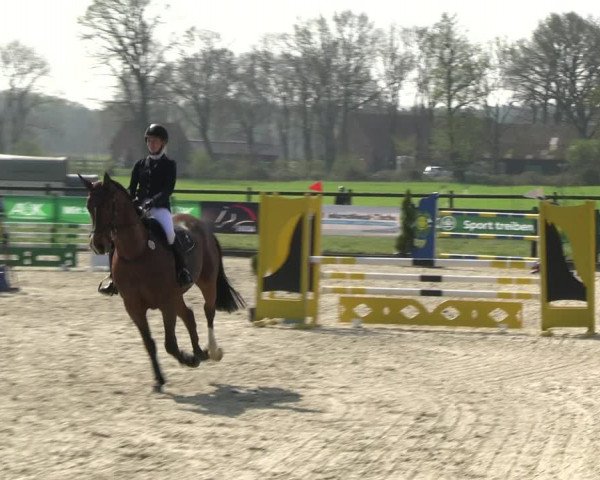 Reitturnier Diepholz 2023