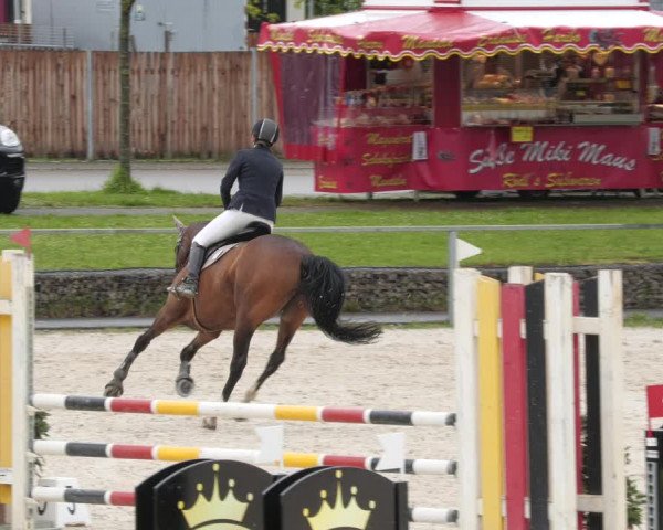 Reitturnier Ingolstadt-Hagau/Obb. 2023