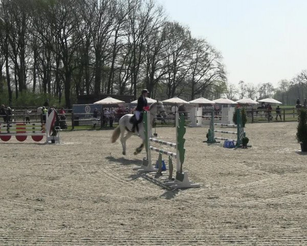 Reitturnier Diepholz 2023