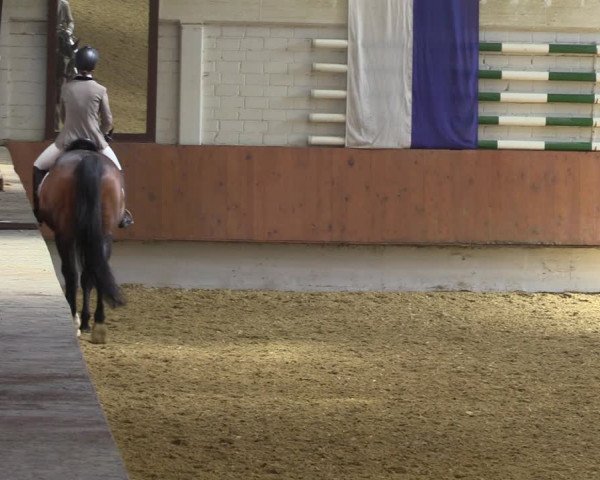Reitturnier Bottrop 2023