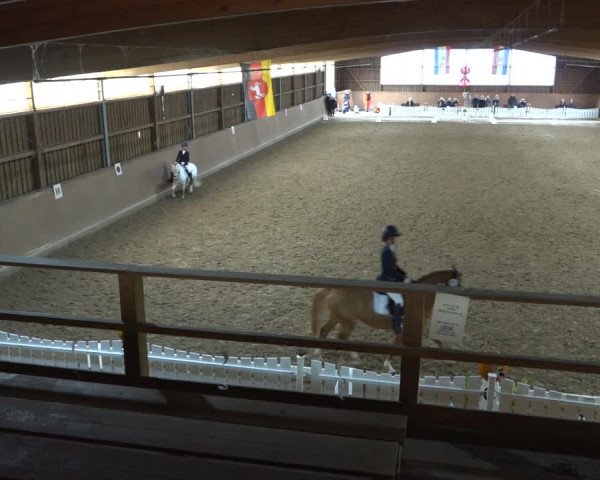 Reitturnier Scharnebeck 2021