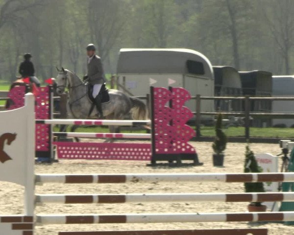 Reitturnier Diepholz 2023