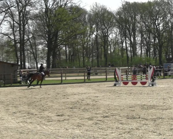 Reitturnier Diepholz 2023