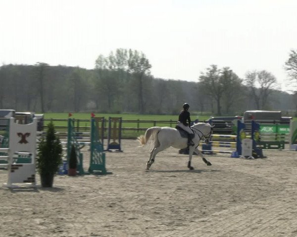 Reitturnier Diepholz 2023