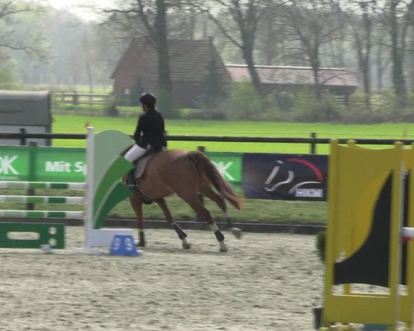Reitturnier Diepholz 2023