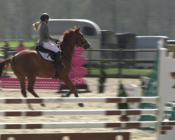 Reitturnier Diepholz 2023