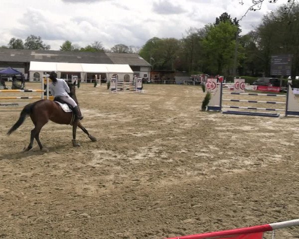 Reitturnier Bottrop 2023