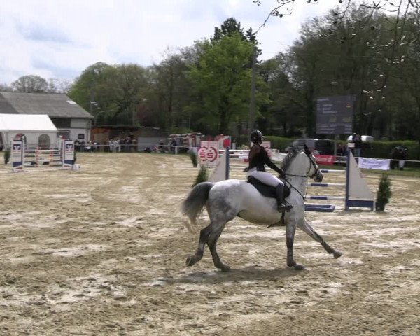 Reitturnier Bottrop 2023