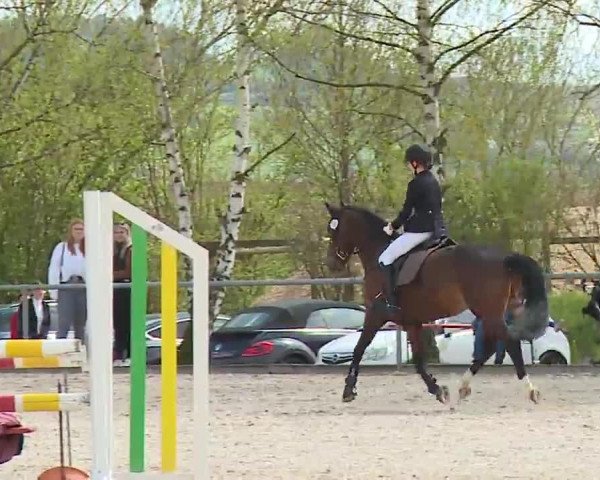 Reitturnier Landenhausen 2023
