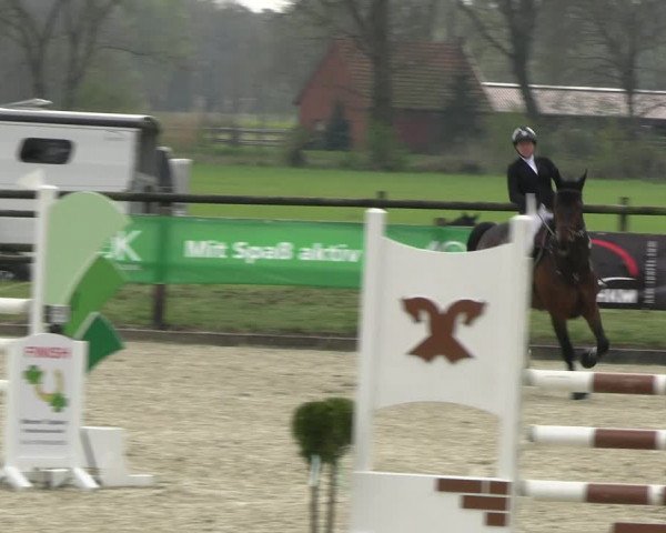 Reitturnier Diepholz 2023
