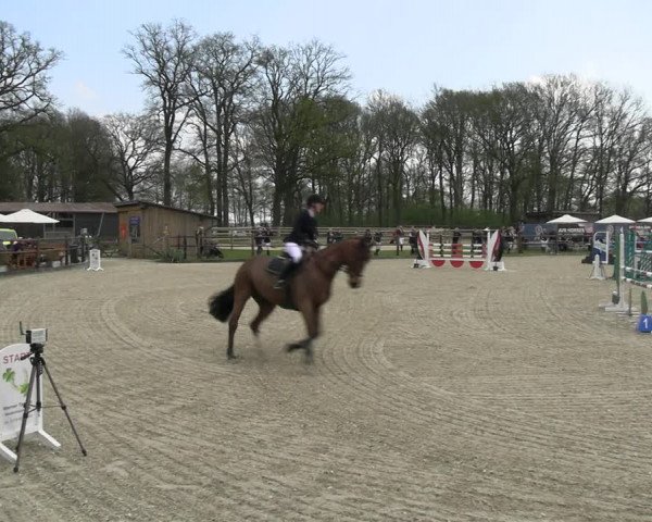 Reitturnier Diepholz 2023
