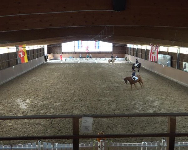 Reitturnier Scharnebeck 2021