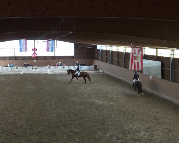 Reitturnier Scharnebeck 2021