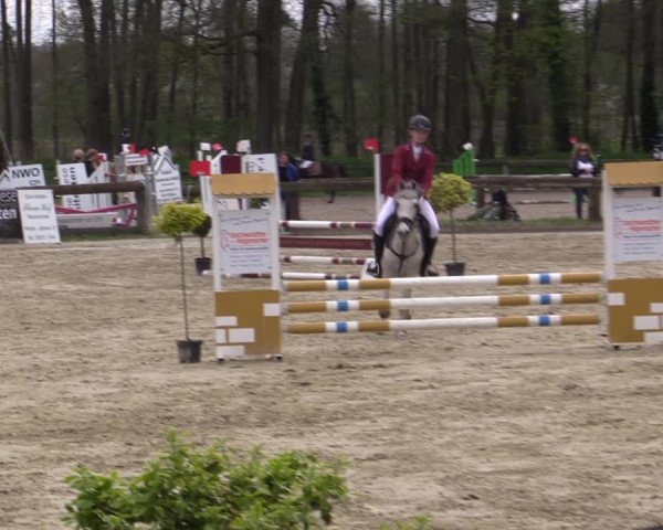 Reitturnier Rhede 2023