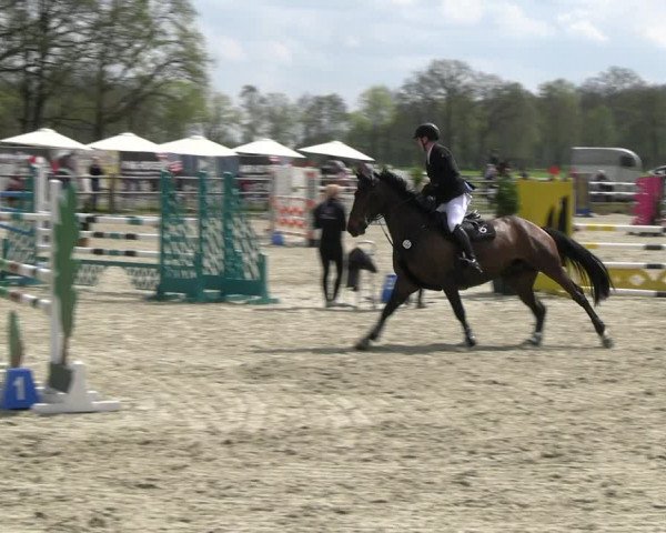 Reitturnier Diepholz 2023
