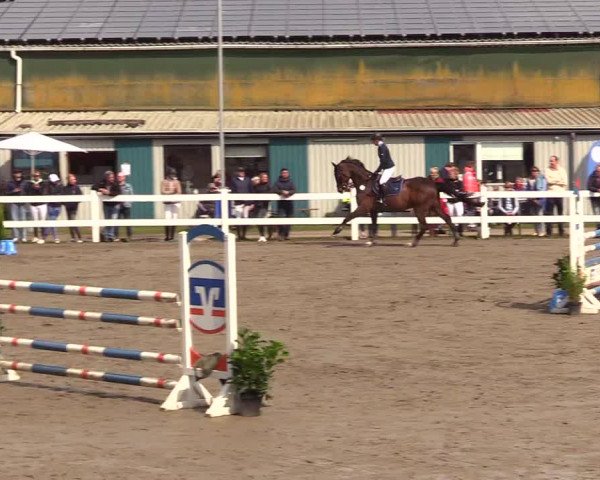 Reitturnier Mildstedt 2023