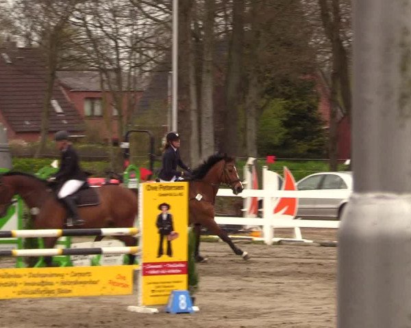 Reitturnier Mildstedt 2023