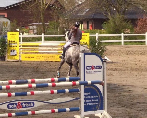 Reitturnier Mildstedt 2023