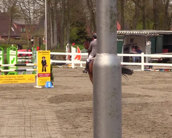 Reitturnier Mildstedt 2023
