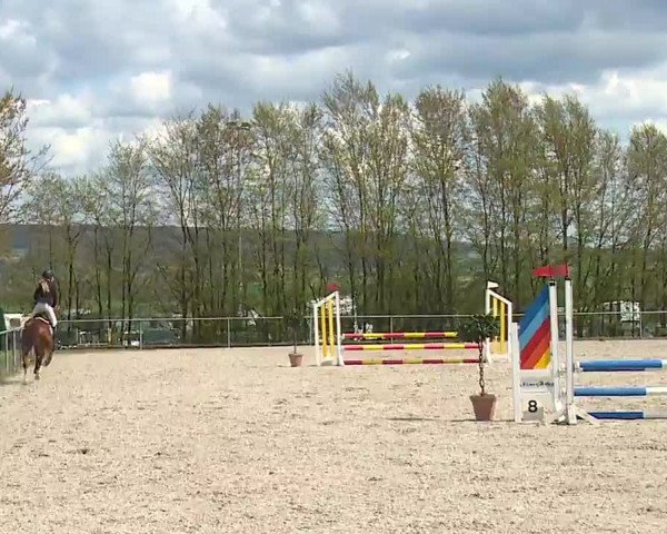 Reitturnier Landenhausen 2023