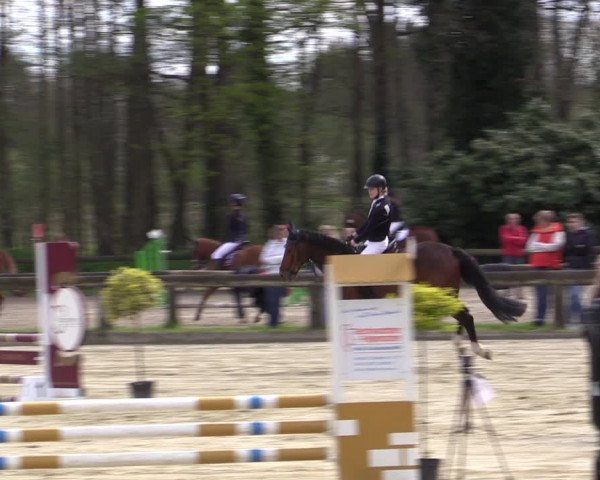 Reitturnier Rhede 2023