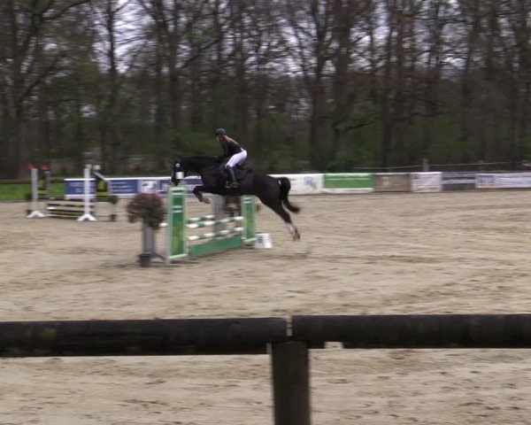 Reitturnier Rhede 2023