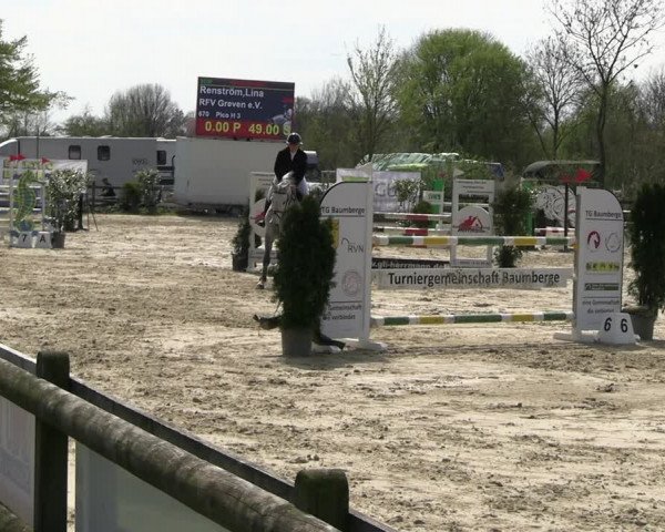Reitturnier Nienberge 2023