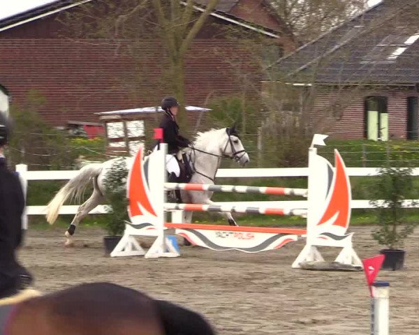 Reitturnier Mildstedt 2023
