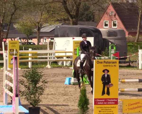 Reitturnier Mildstedt 2023