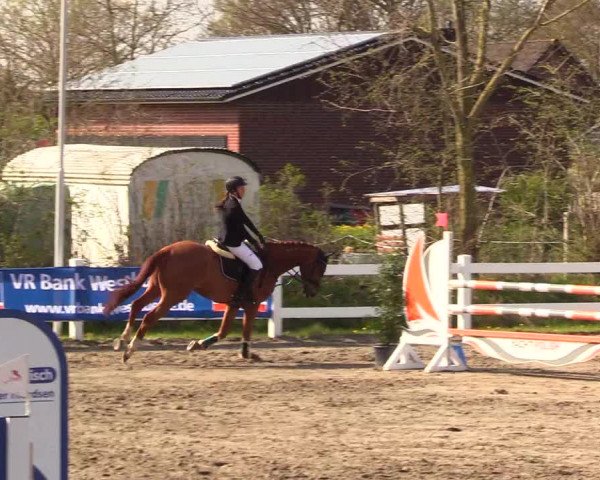 Reitturnier Mildstedt 2023
