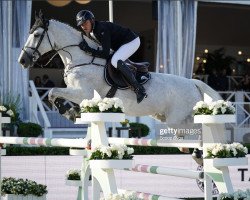 jumper Deesse de La Sure (Belgium Sporthorse, 2009, from Quickfire de Ferann)