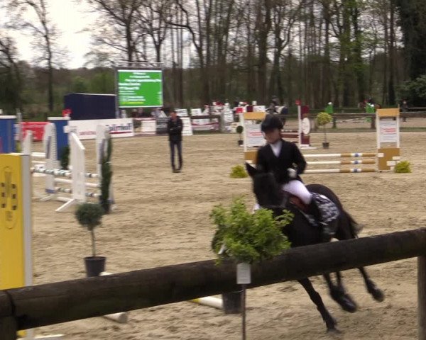 Reitturnier Rhede 2023