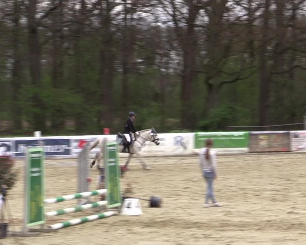 Reitturnier Rhede 2023