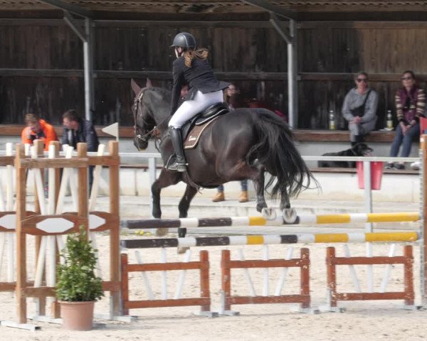 Reitturnier Ingolstadt-Hagau/Obb. 2023