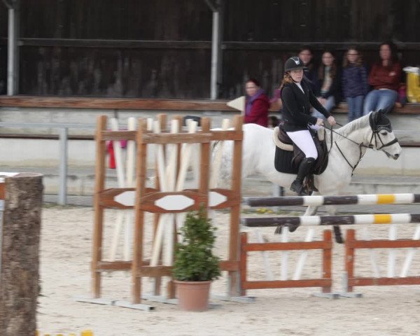 Reitturnier Ingolstadt-Hagau/Obb. 2023