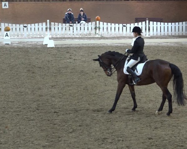 Reitturnier Scharnebeck 2021