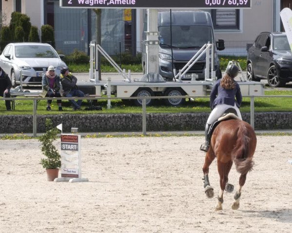 Reitturnier Ingolstadt-Hagau/Obb. 2023
