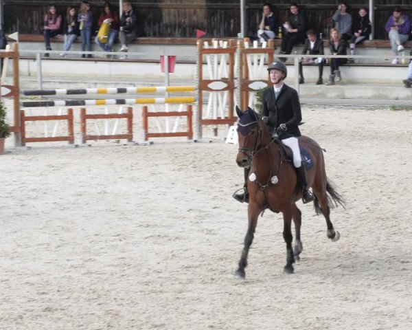 Reitturnier Ingolstadt-Hagau/Obb. 2023