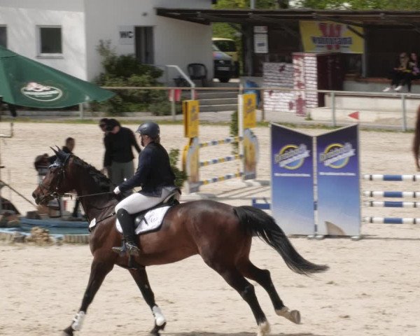Reitturnier Ingolstadt-Hagau/Obb. 2023