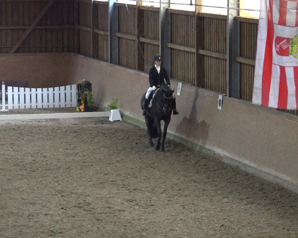 Reitturnier Scharnebeck 2021