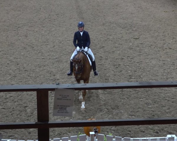 Reitturnier Scharnebeck 2021