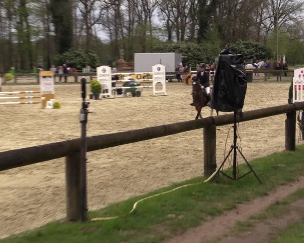 Reitturnier Rhede 2023