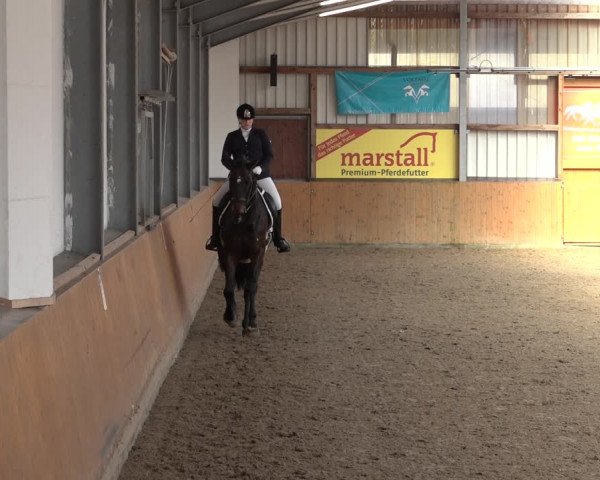 Reitturnier Schlieckau 2023