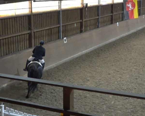 Reitturnier Scharnebeck 2021
