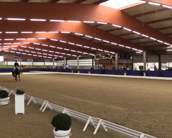 Dressurturnier Isterberg 2021