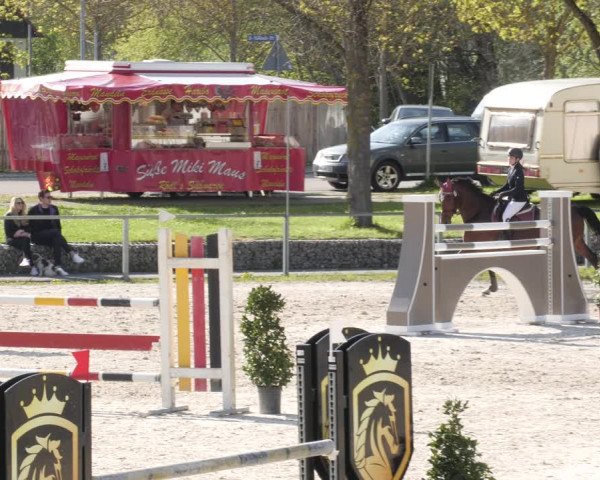 Reitturnier Ingolstadt-Hagau/Obb. 2023