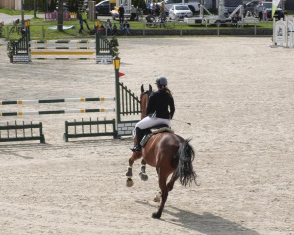 Reitturnier Ingolstadt-Hagau/Obb. 2023