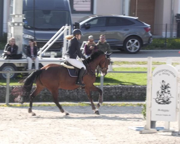 Reitturnier Ingolstadt-Hagau/Obb. 2023