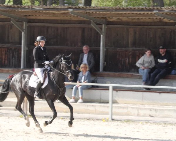 Reitturnier Ingolstadt-Hagau/Obb. 2023