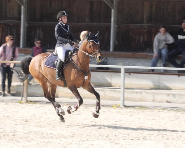 Reitturnier Ingolstadt-Hagau/Obb. 2023
